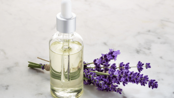 lavender spike essential oil