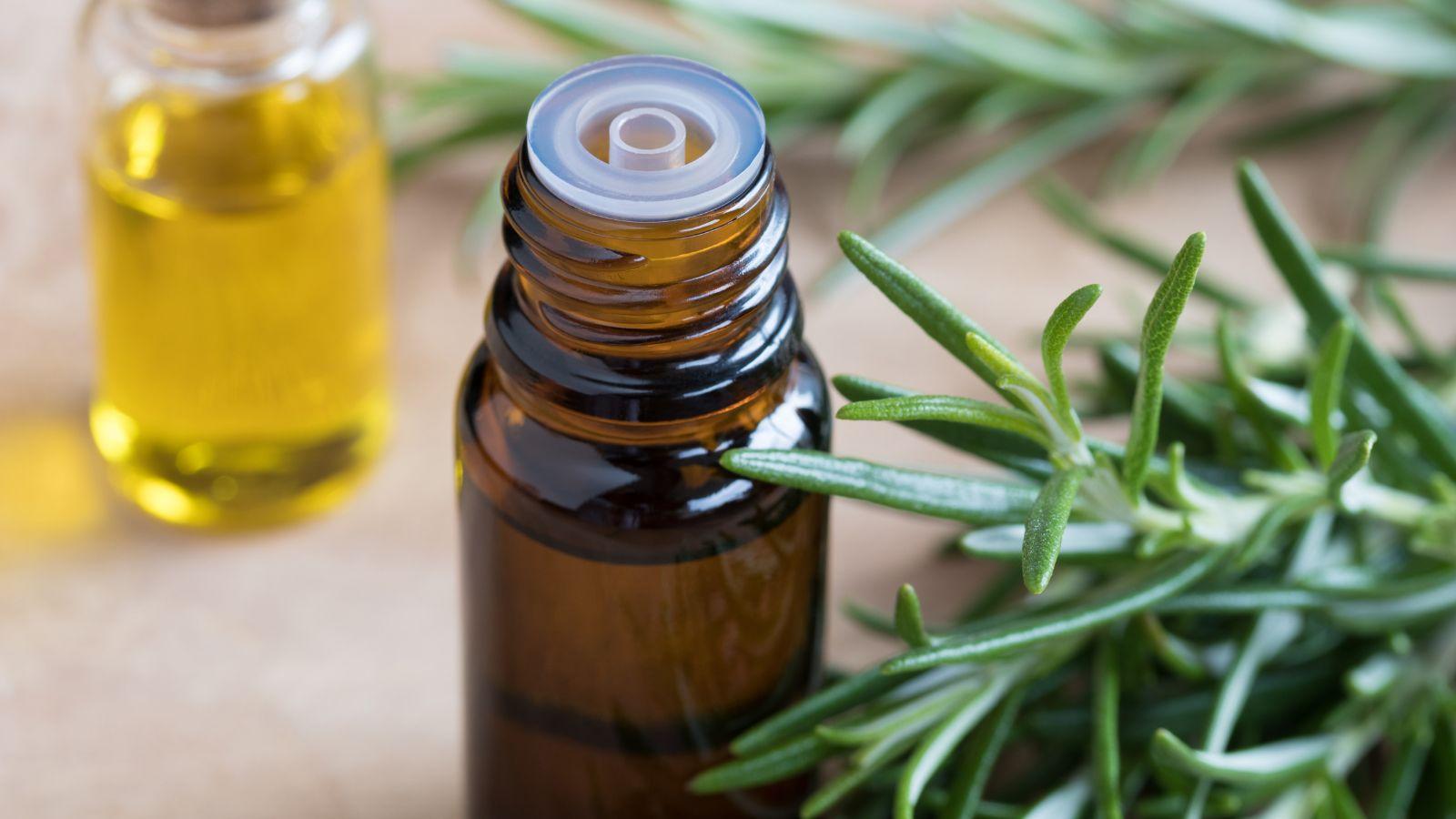 Rosemary essential oil aromatherapy