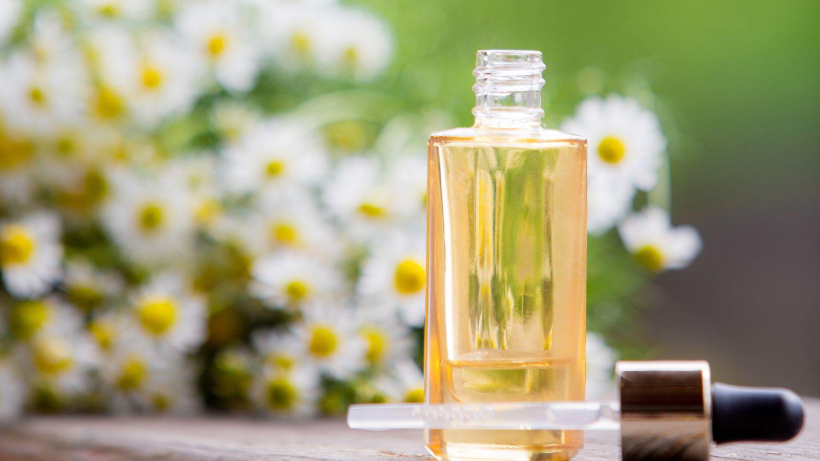essential oils to aid sleep chamomile
