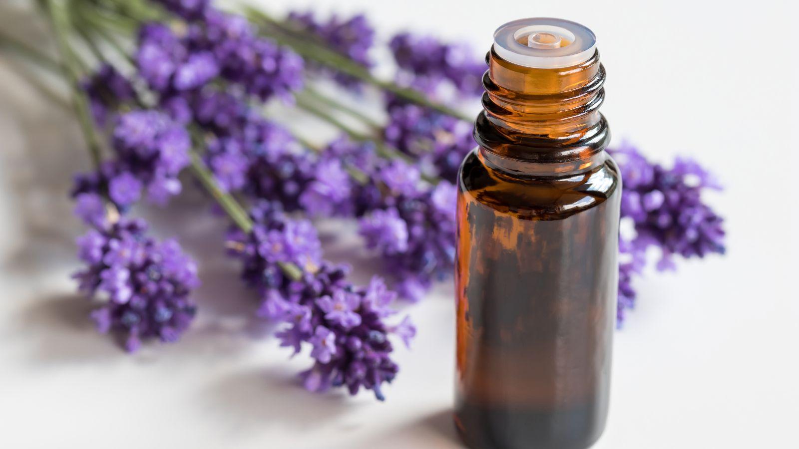 essential oils to aid sleep lavender