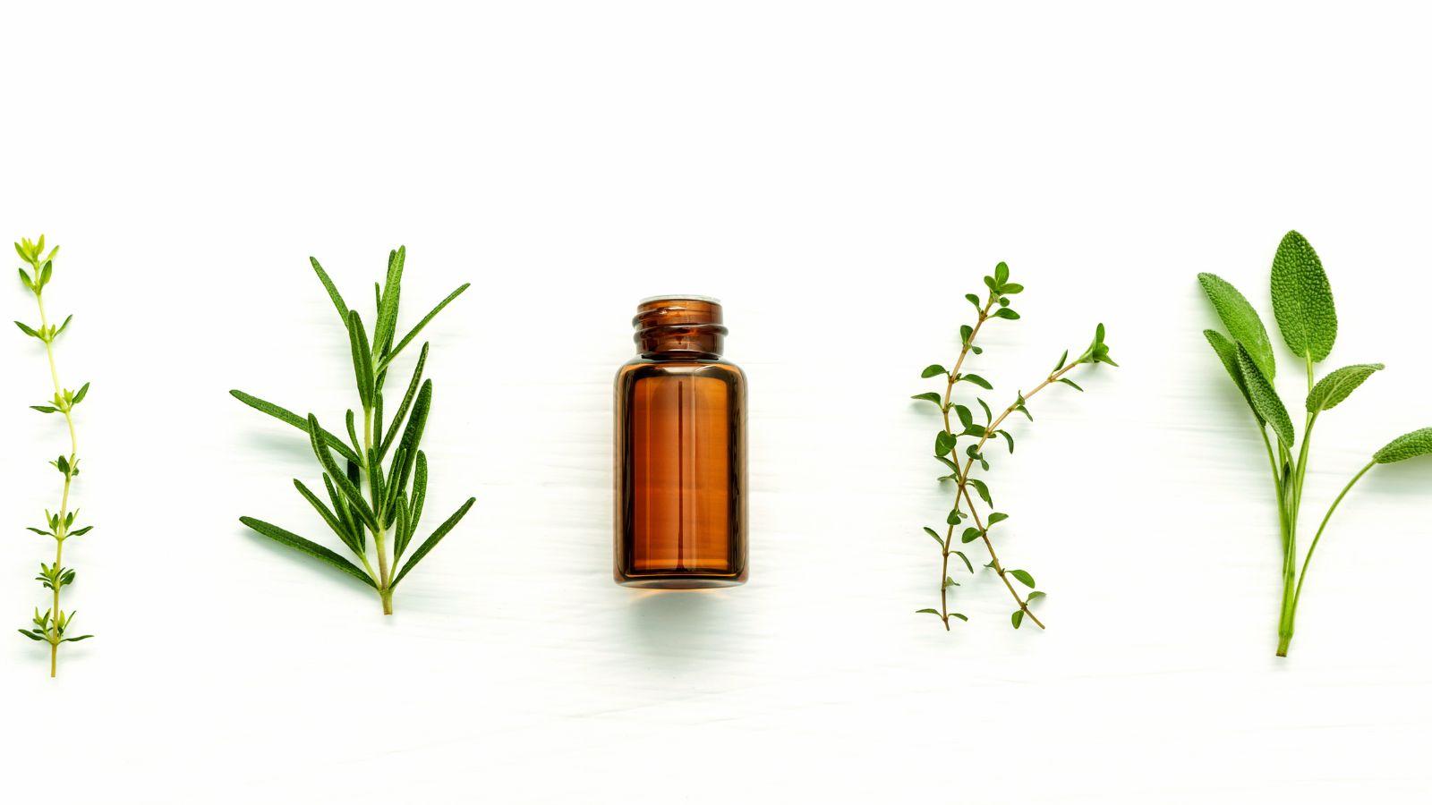 favourite essential oils. image shows a white background with an essential oil bottle surrounded by herbs