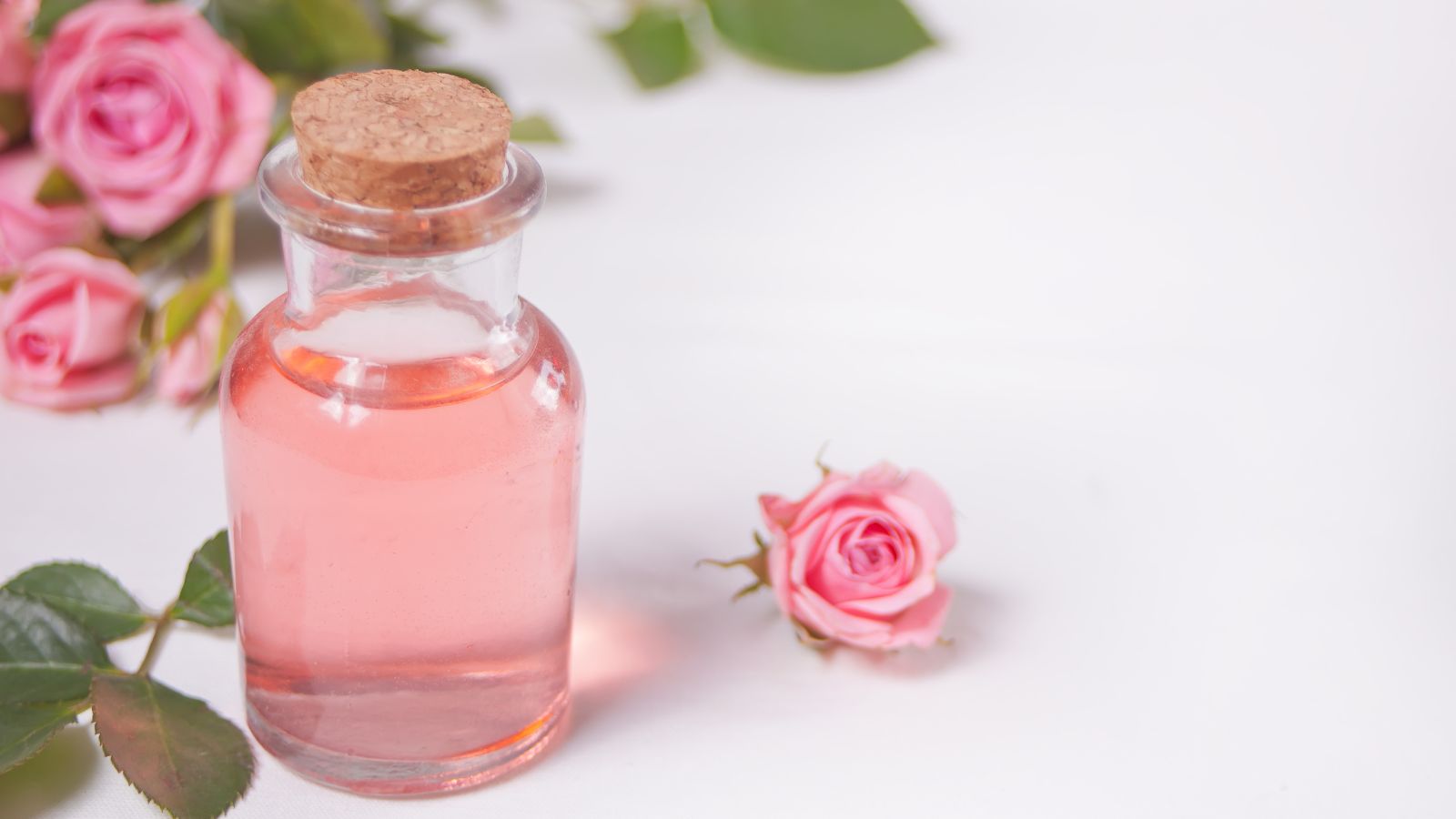 rose essential oil blends well with other oils. Image of roses and some rose essential oil in a bottle