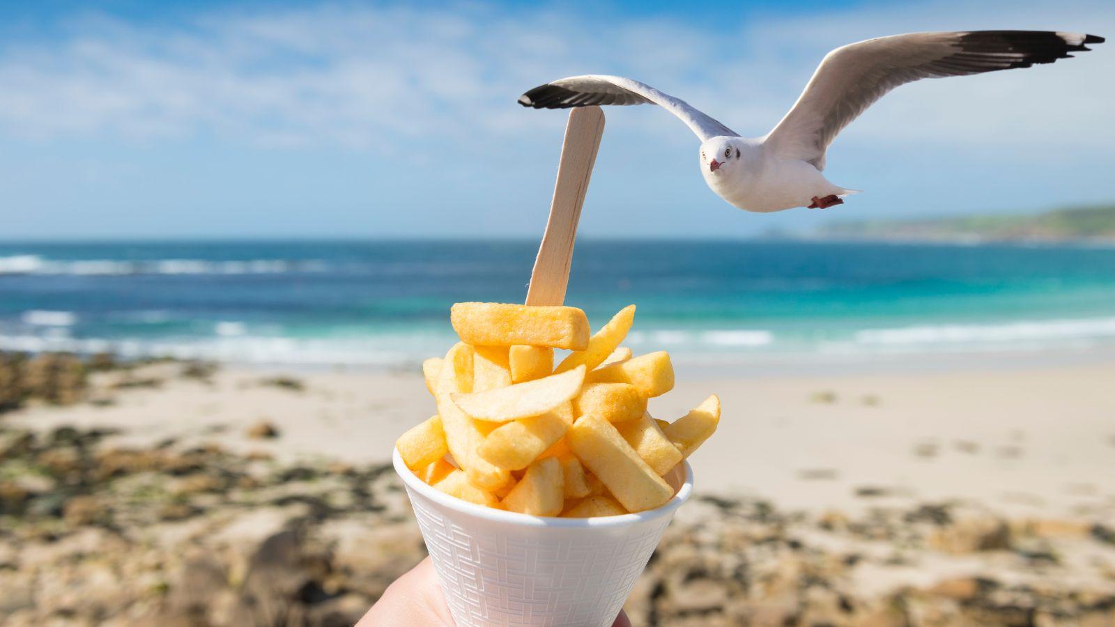 Calm the chaos go to beach eat chips image of a beach and some chips and a seagull to illustrate calm the chaos