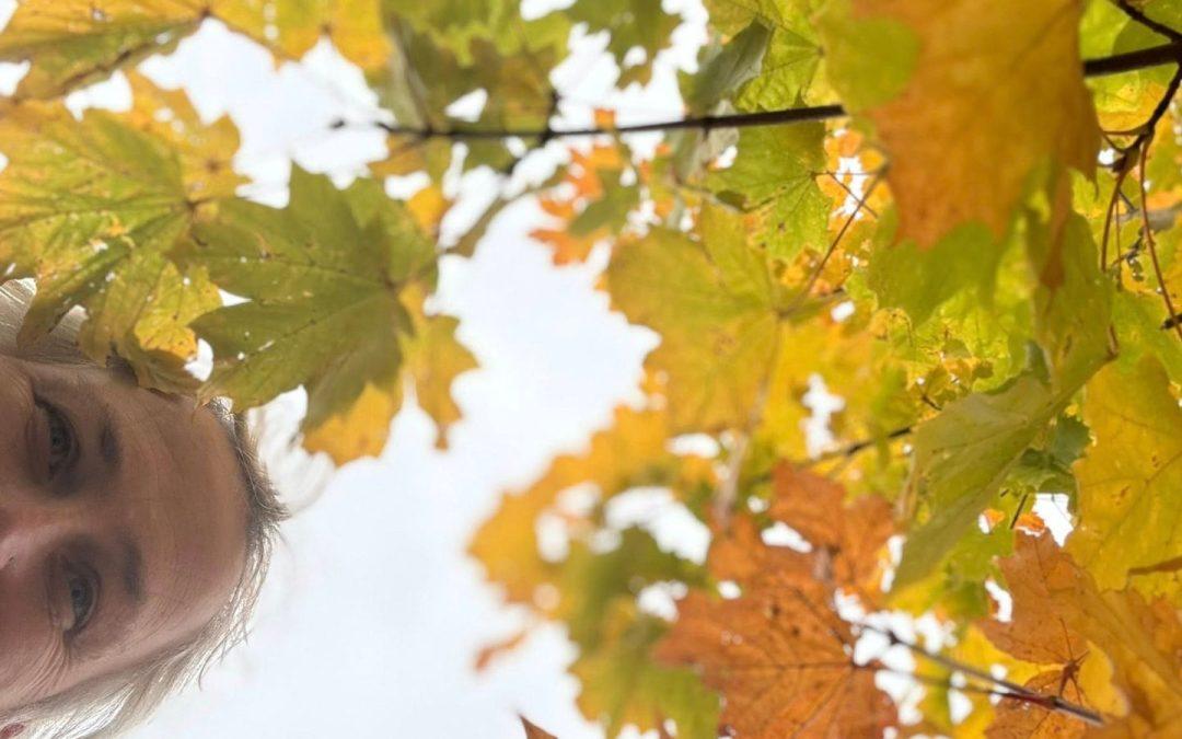 7 Fabulous things to do this Autumn (even if you’re on your own)