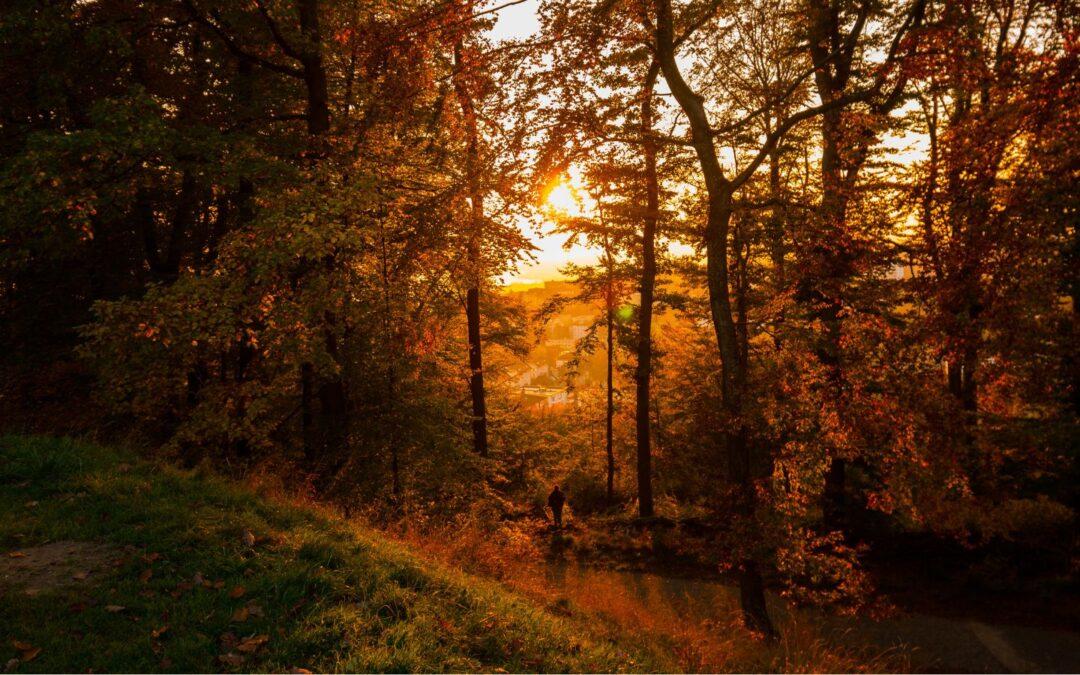 Autumn Reset