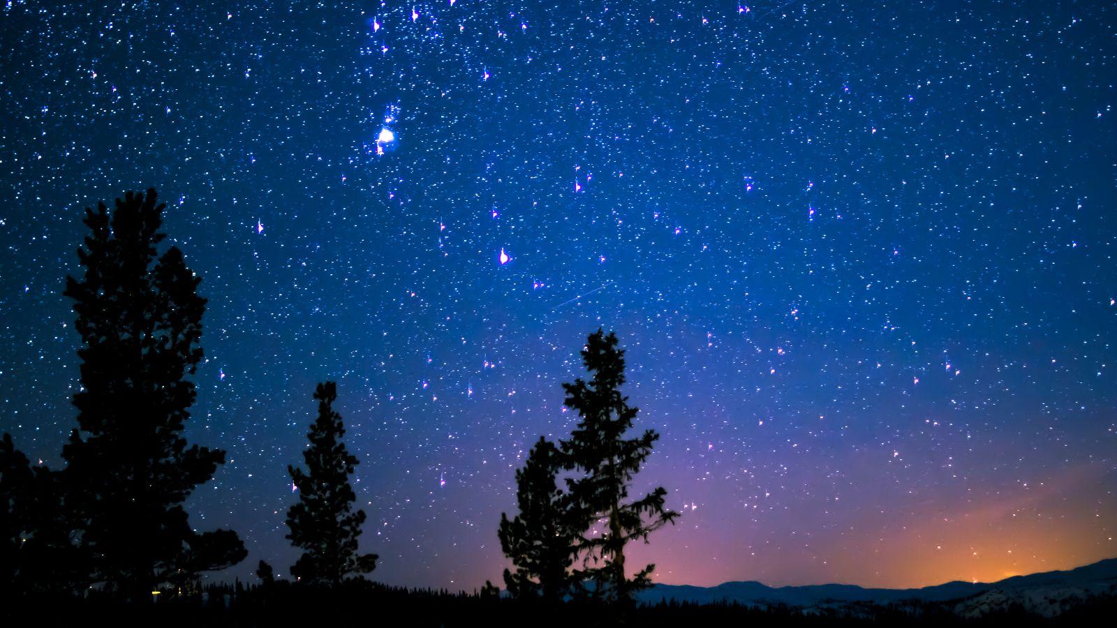 Autumn Reset image of a starry night sky and trees to illustrate stargazing