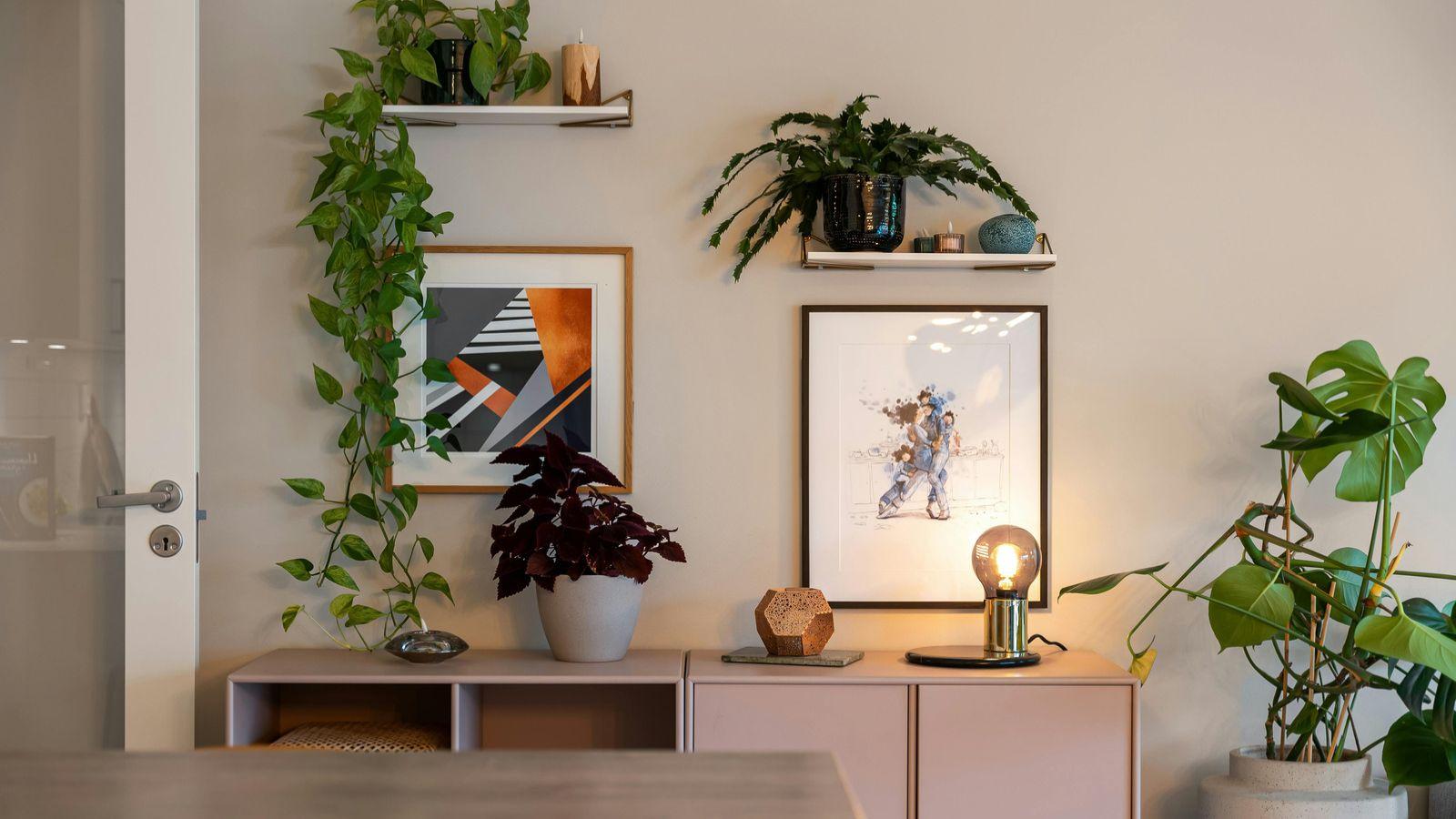 raise your home's vibration by adding pot plants. Image of room with pot plants